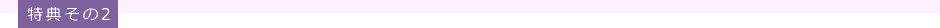 特典その2